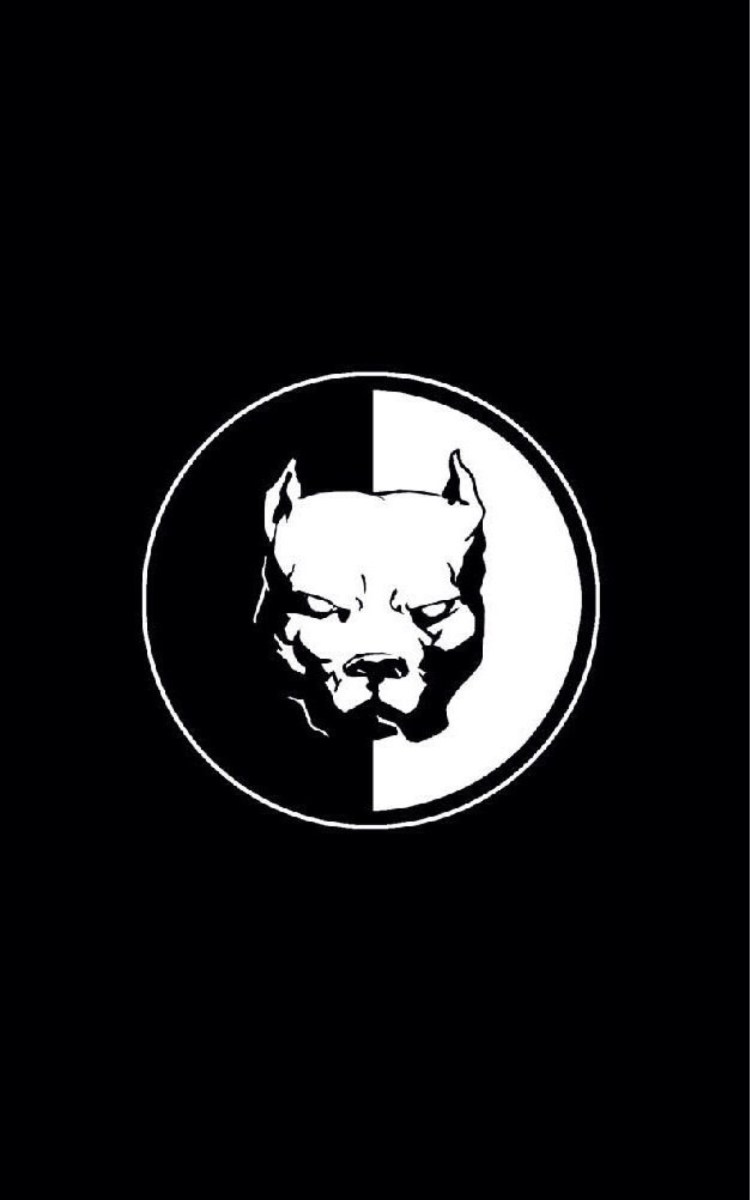 Питбуль Эрик Давидович