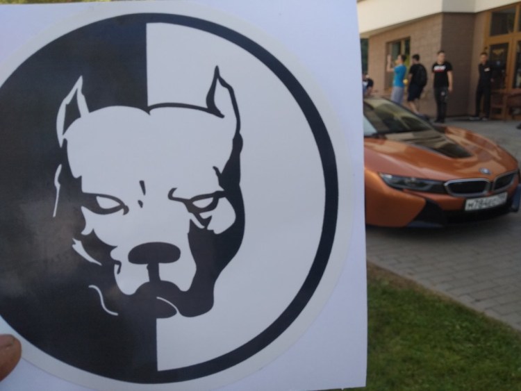 Эрик Давидыч питбуль