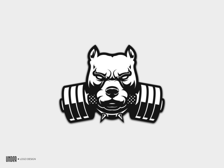 Питбуль со штангой