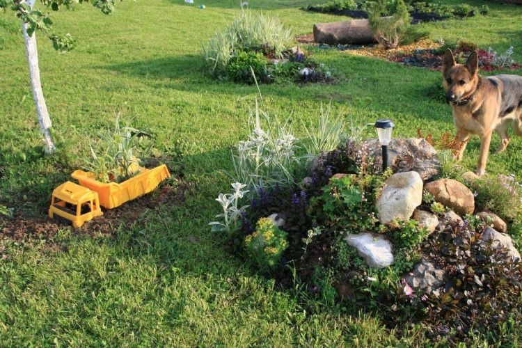 Ограждение для вольера