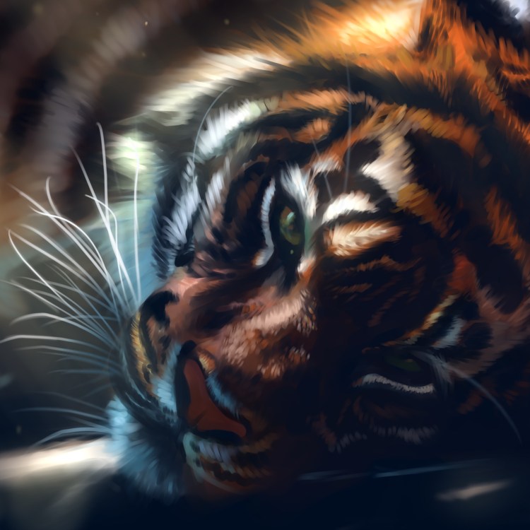 Шерхан Маугли 2016