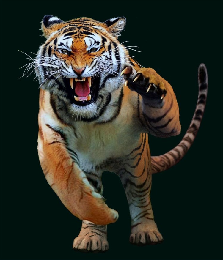 Нападение животных на людей в зоопарке