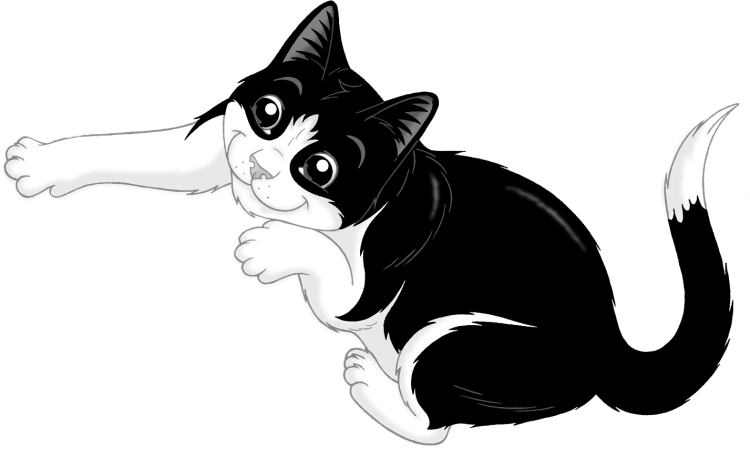 Корм Purina Felix