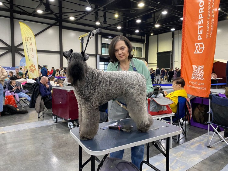 Брахицефалический синдром у собак