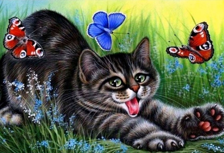 Котик с бабочкой