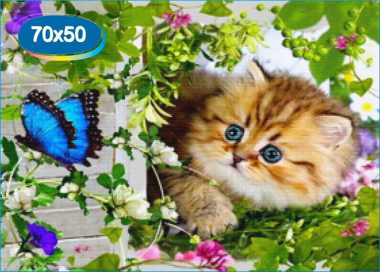 Картина кот и бабочка