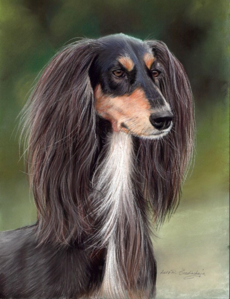 Родня шелти