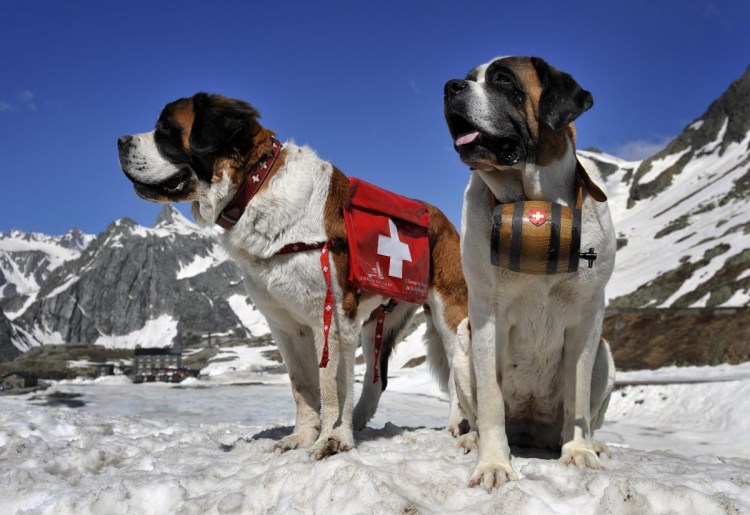 Монастырь сен Бернар