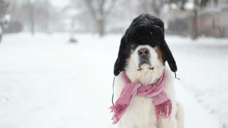 Монастырь сен Бернар