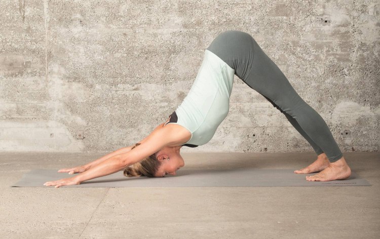 Собака мордой вниз йога