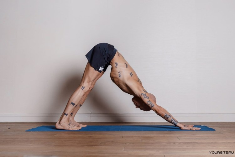 Адхо Мукха Шванасана (собака мордой вниз)