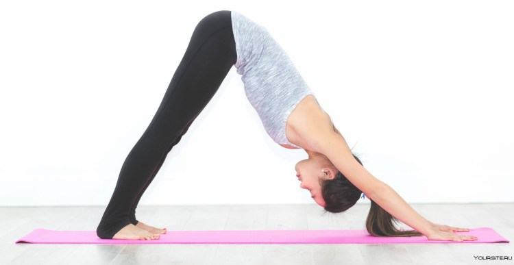 Mukha Svanasana