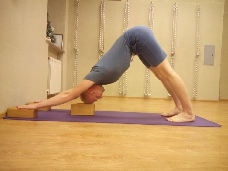 Собака йога