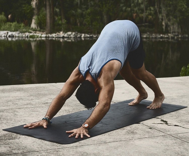 Адхо Мукха Шванасана мышцы