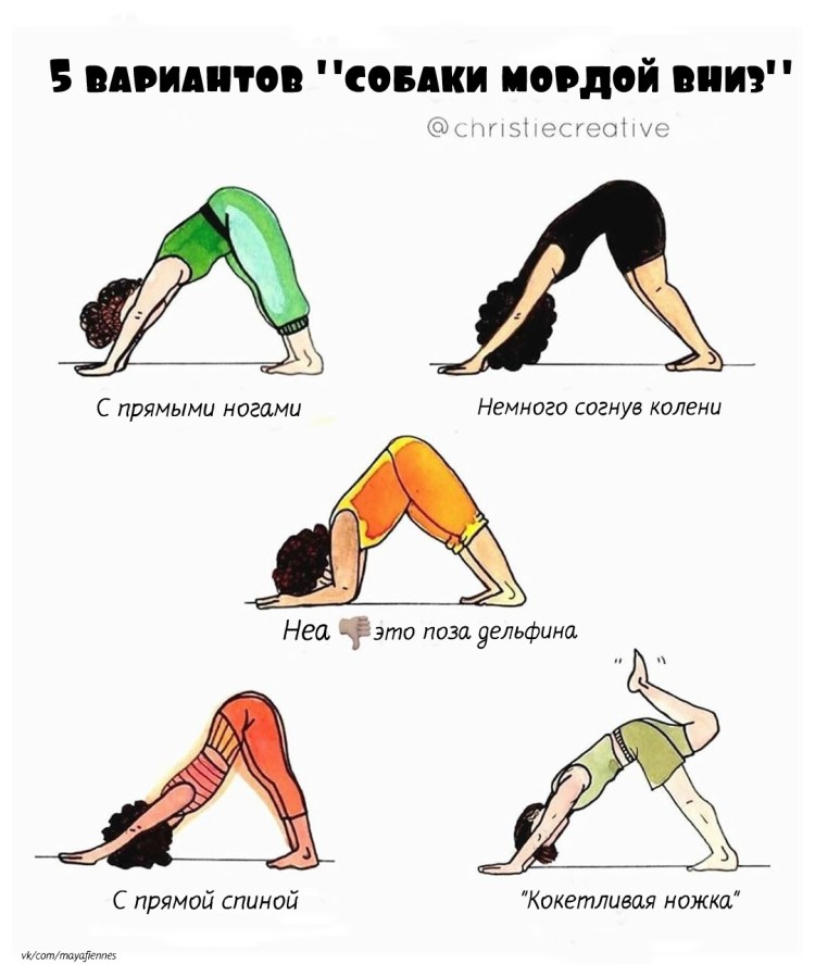 Собака мордой вниз йога как правильно делать