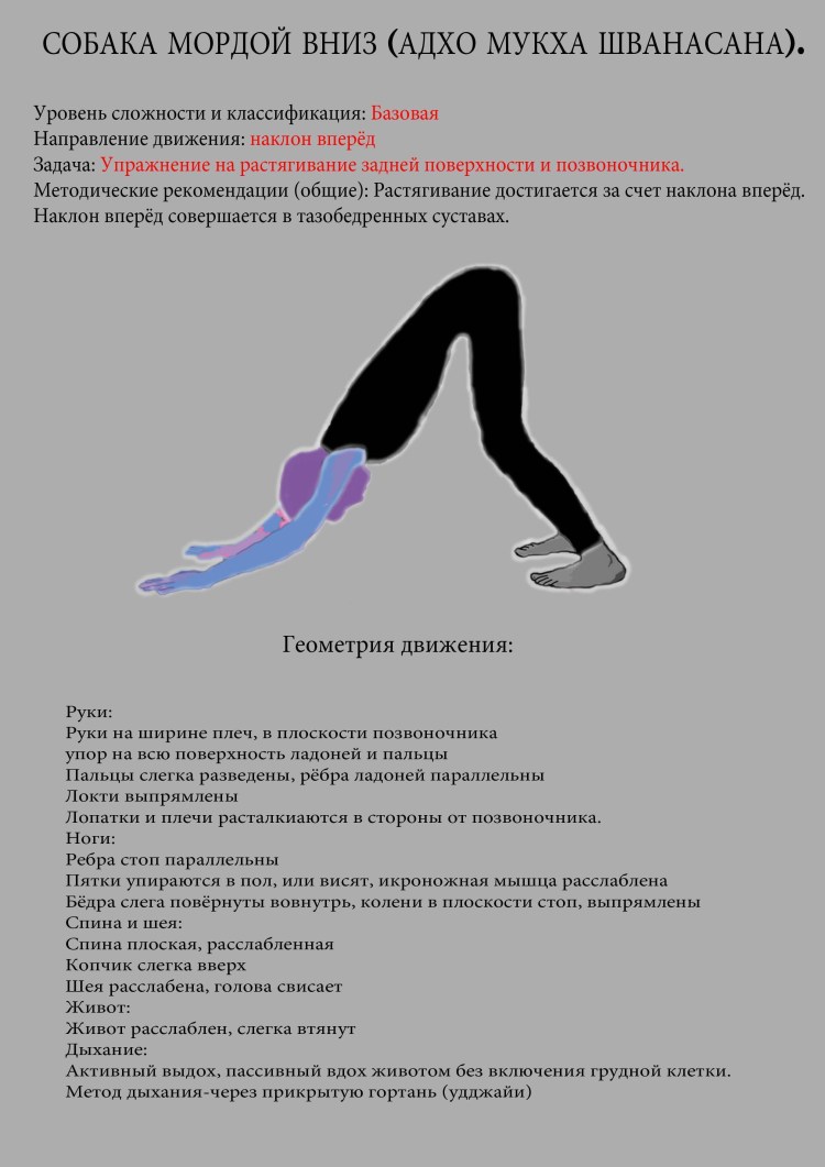 Йога поза собаки