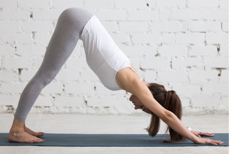 Урдхва Мукха Шванасана