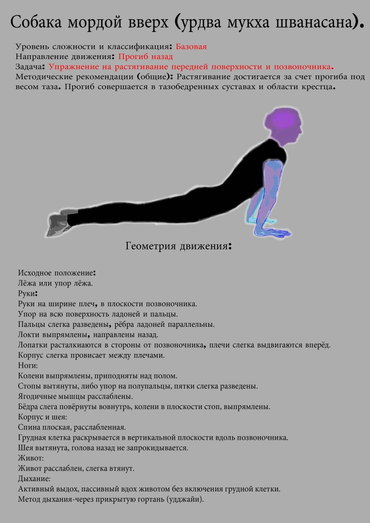 Девушки в позе собака мордой вниз