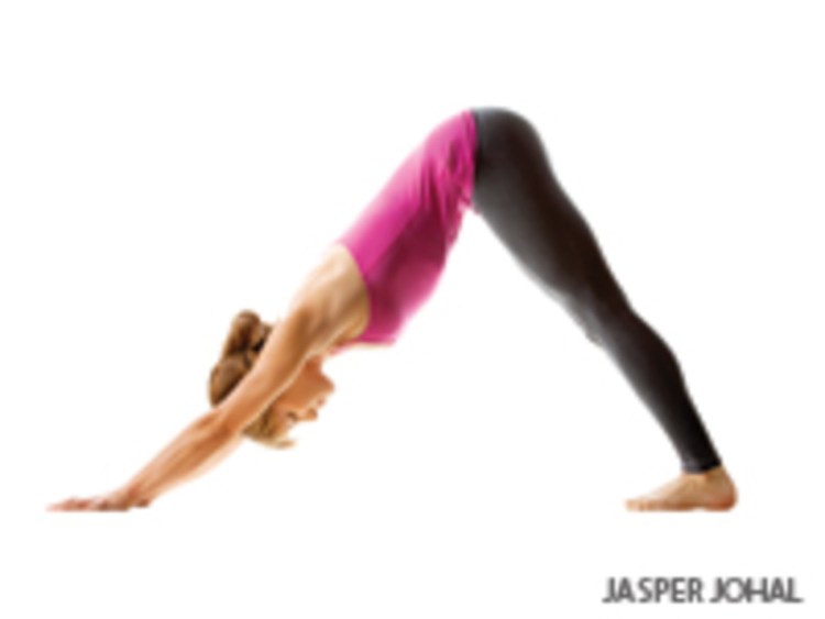 Мукха Шванасана