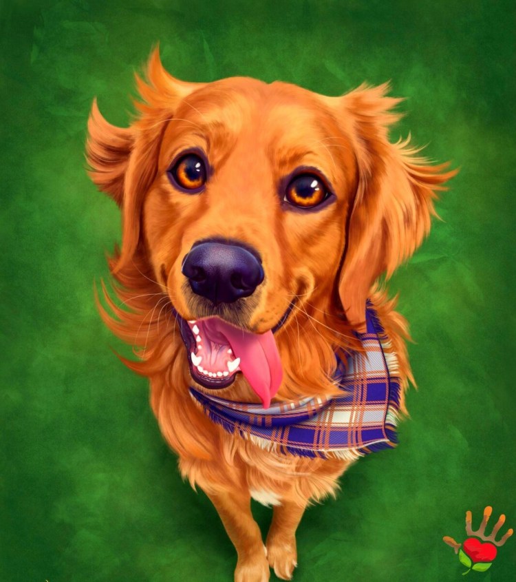 Собака рисунок