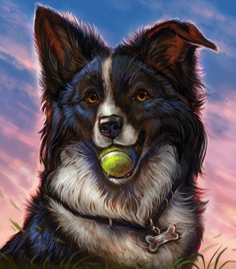 Морда собаки