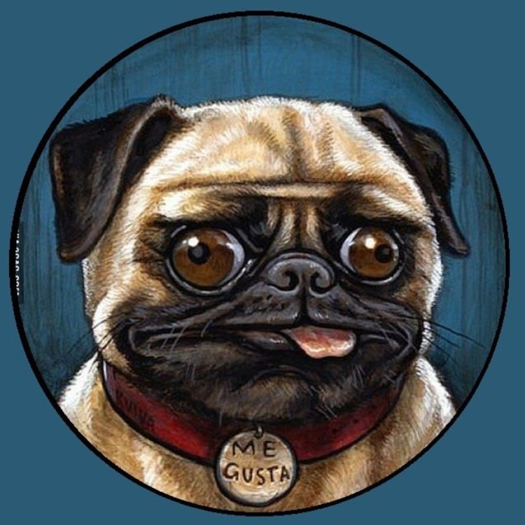 Мопс на аву