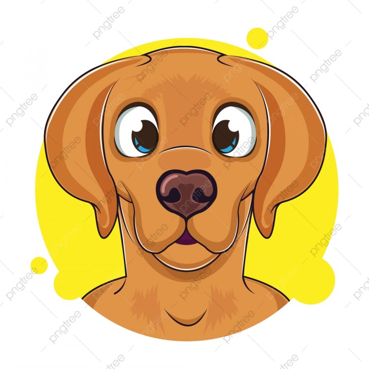 Бордер колли хроники стаи