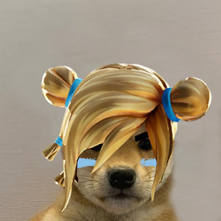 Dogwifhat Fortnite