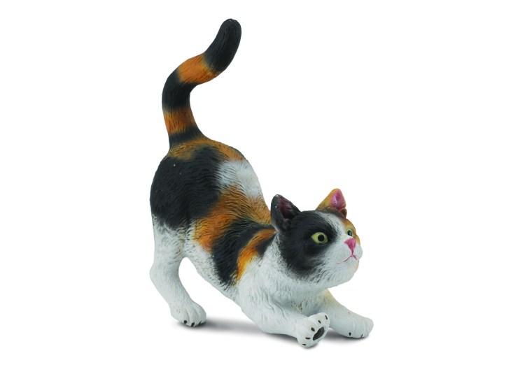 Шляйх коты Воители