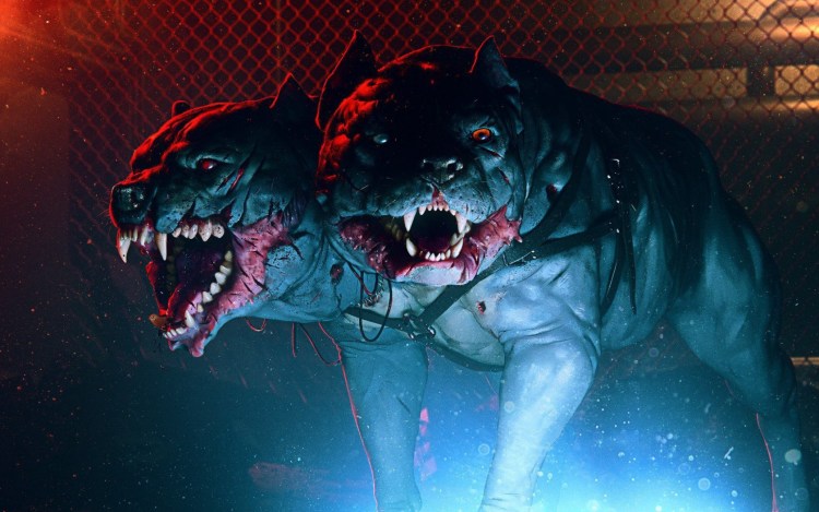 Стаффордширский терьер лает