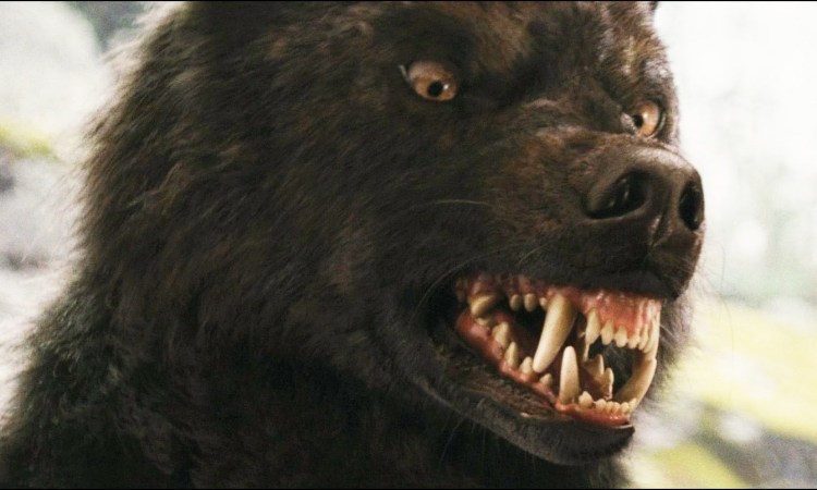 Злой волк Мем