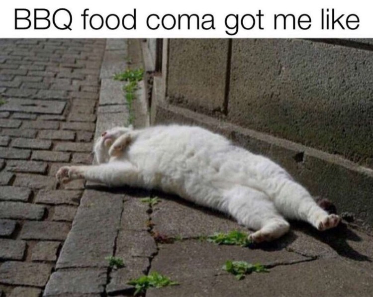 Кот в обмороке