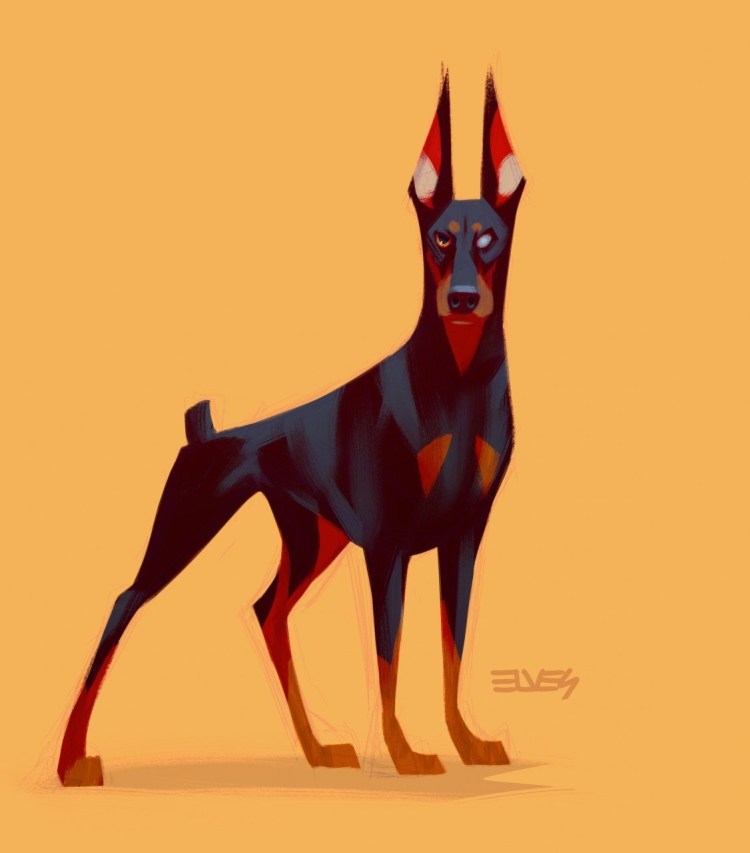 Цвергпинчер обои на телефон