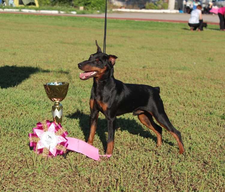 Олигарх из замка Приора