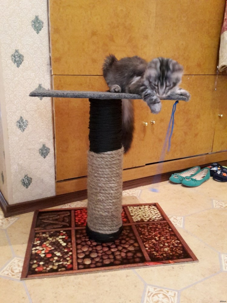 TV-350 когтеточка со щеткой «кошачье удовольствие» Purrfect Arch