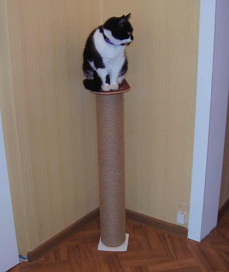 Когтеточка Trixie parla 43332