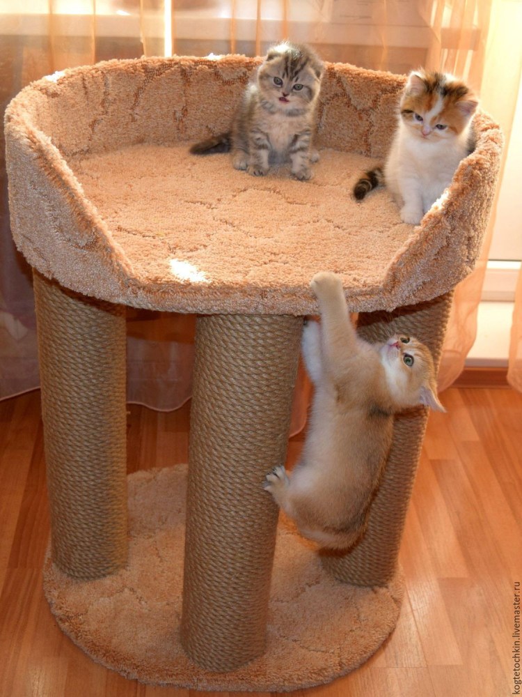 Когтеточка гофрокартон Когтедралка