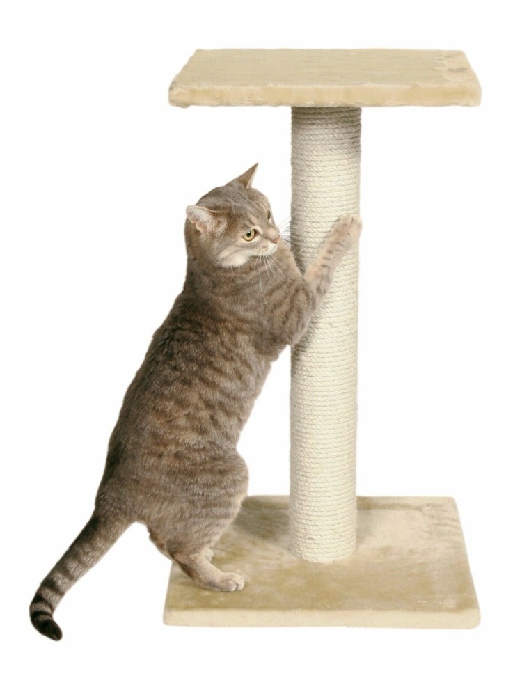 Когтеточка Trixie parla 60 см