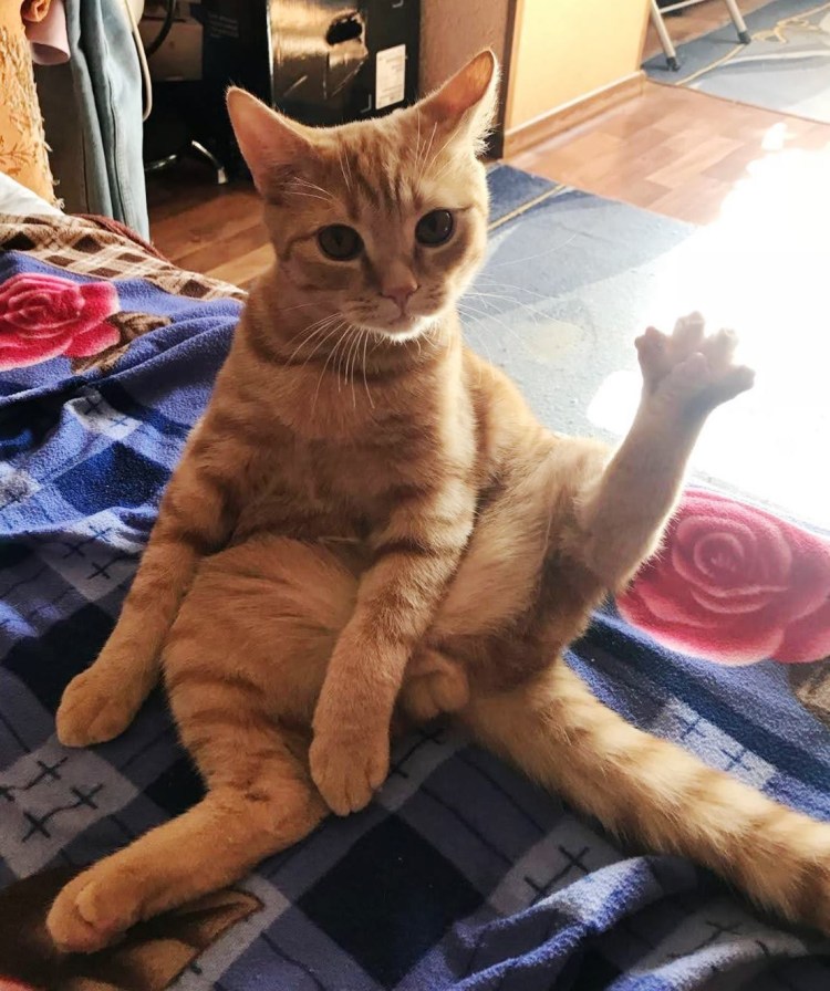 Хоба ультрахоба