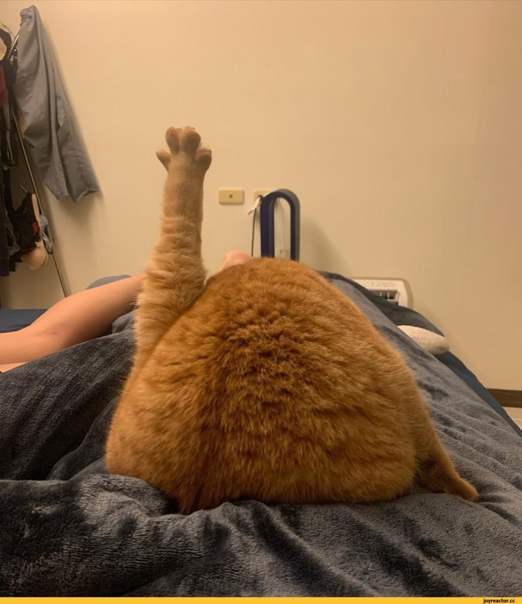 Хоба ультрахоба