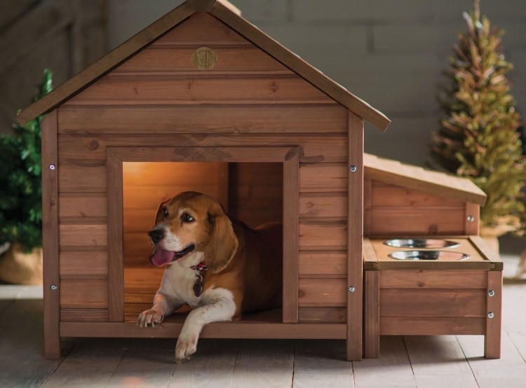 Собака с конурой