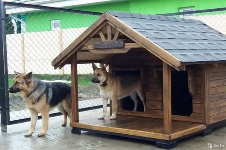 Конура для собаки немецкой овчарки