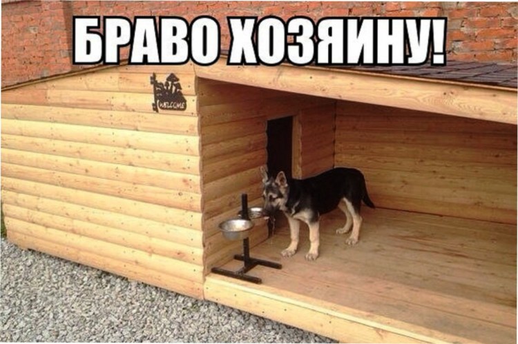 Размеры будки для немецкой овчарки