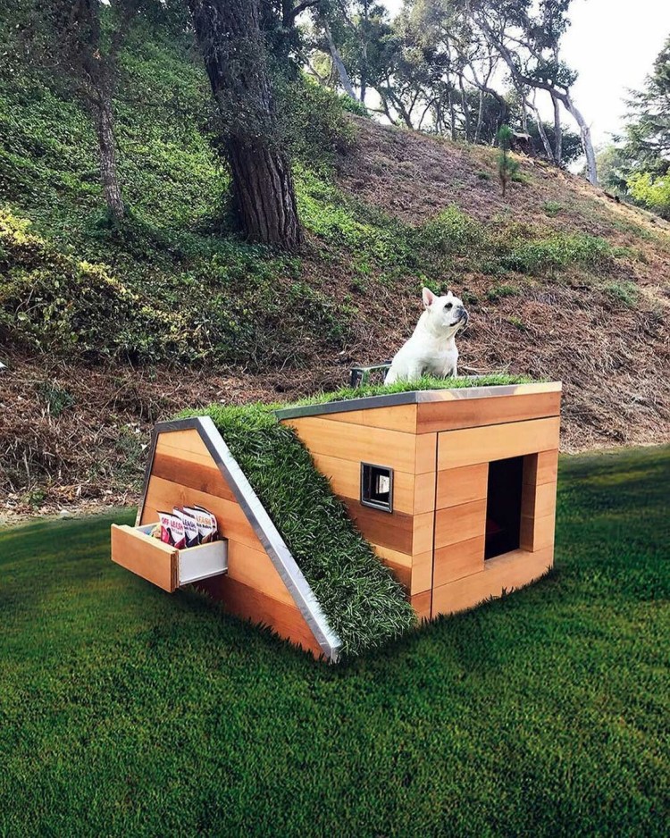 Б̶у̶т̶к̶а̶ д̶л̶я̶ с̶о̶б̶а̶к̶