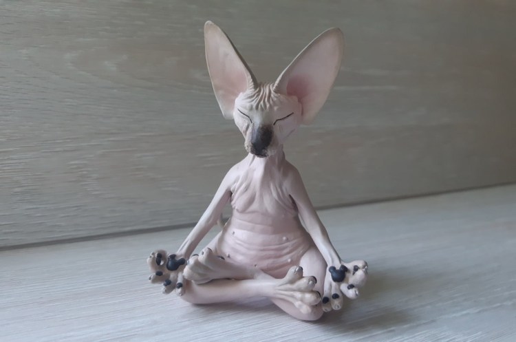 Страшный кот