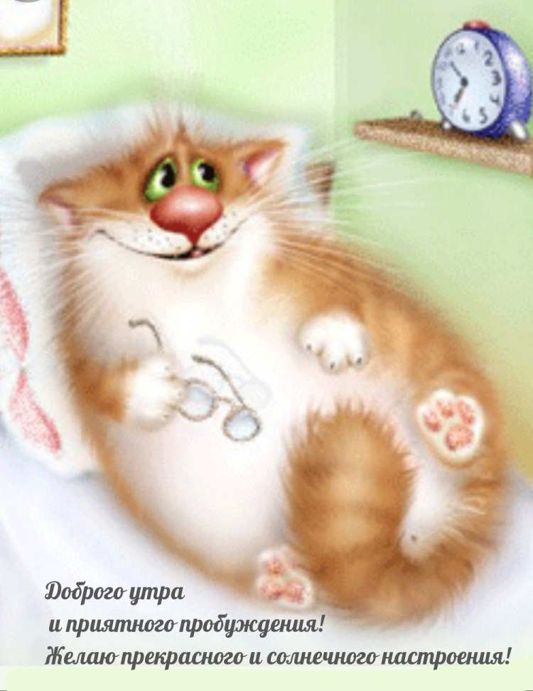 Прикольный кот с добрым утром