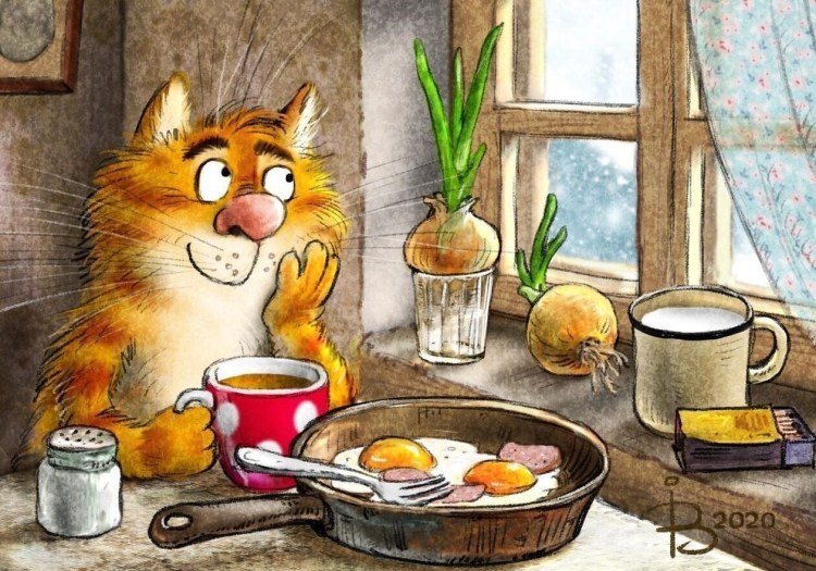 Доброе утро котик