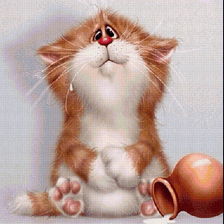 Утренний котик