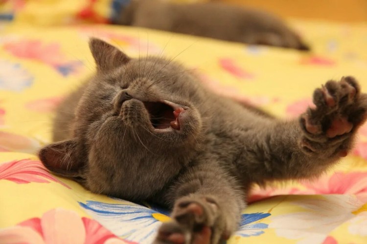 Утро вторника