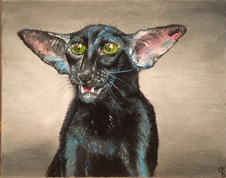 Вес ориентального кота